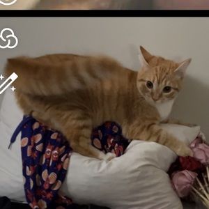 Meet your Posher, Jenna